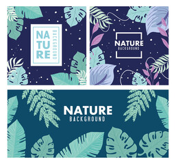 set of nature background, branches with tropical nature leaves of pastel color vector illustration design
