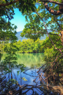 Mossman Gorge, Daintree National Park,