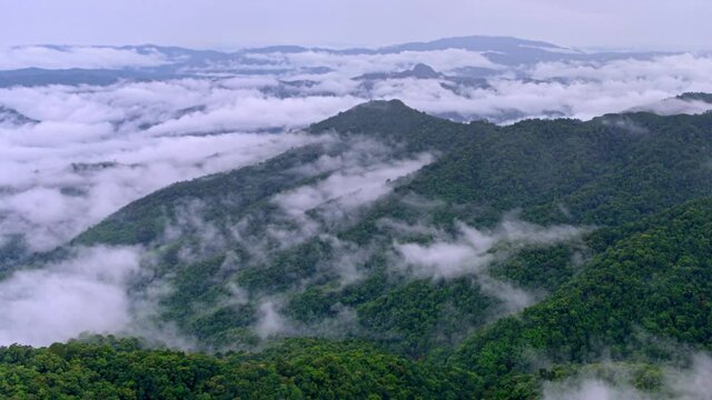 Time lapse video 4K, Morning mist over the mountain above Doi Pha sam Liam, Mae tang, Chiang mai, Thailand.