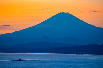 Japan. Kawaguchiko lake during sunset. Fuji volcano on the background of scarlet sunset. Japanese evening landscape. Fuji mountain silhouette on sky background. Japan autumn. Tour to Kawaguchiko Lake