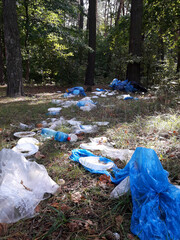 trash in nature, forest pollution, plastic trash in deciduous forest. There is a lot of garbage in...