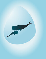 Fototapeta premium A whale and her cub in a blue transparent drop of water. The concept of protecting oceans, whales, marine animals, cleaning water bodies from debris and plastic. Place for your text.