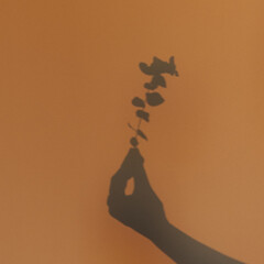 Women's hand holding eucalyptus floral branch. Shadow on the wall. Plant in female hand. Silhouette in sunlight.
