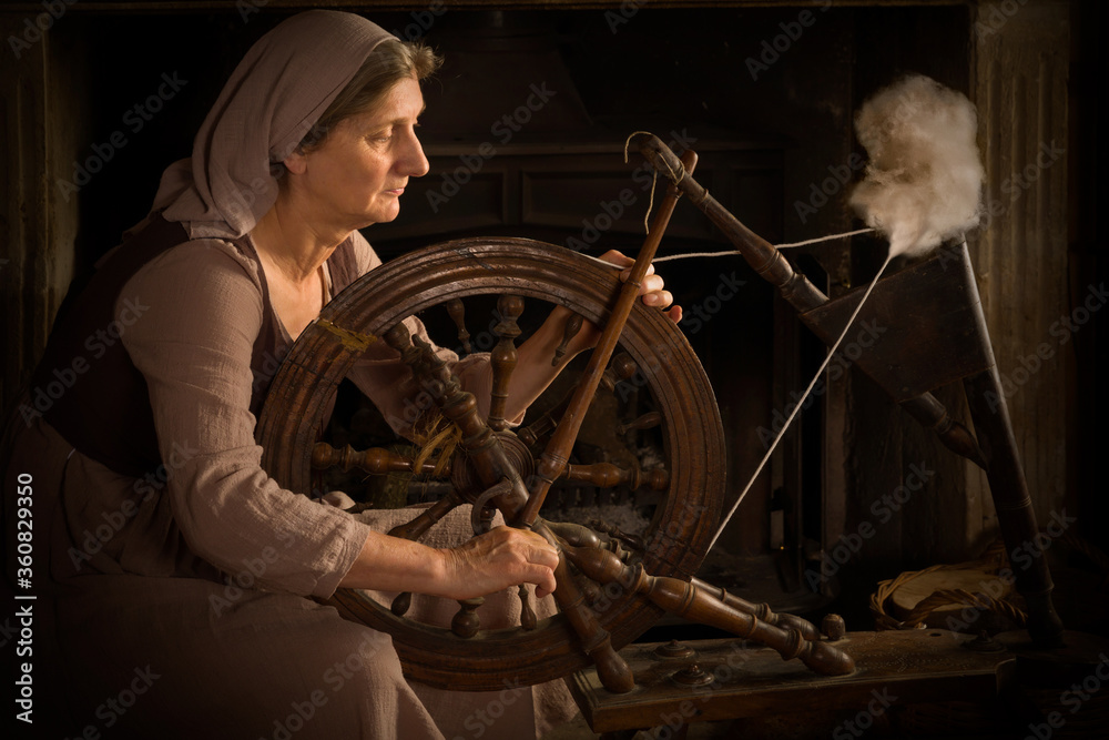 Wall mural Spinning wheel Old Master portrait - Wall murals