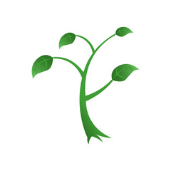 Green Leaf Treen Nature Plant