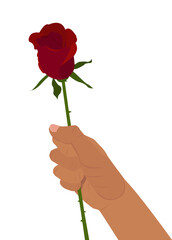 Hand holding a red rose isolated on white background. Element for your design