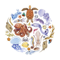 Coral reef sea animals watercolor illustrated round. Hand drawn beautiful octopus, sea turtle, jellyfish, stingray, coral fish, seaweed arrangement. Marine wildlife composition on white background