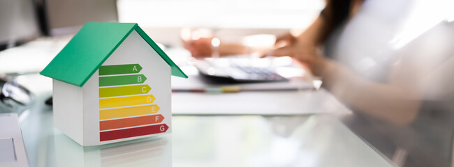 House Energy Efficiency Audit