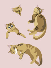 Vector flat color set of charming cute cats. Tabby kittens illustration. On a pink background