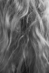 Black and white art fashion surrealistic portrait of beautiful woman, fashion studio portrait of beautiful model, details of body