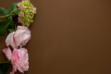 Fototapeta premium Floral mock up. Pink roses frame isolated on brown background with copy space.