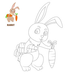Coloring book pages rabbit cartoon