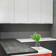 Modern kitchen room interior with furniture and flowers on counter for concept design - light home background