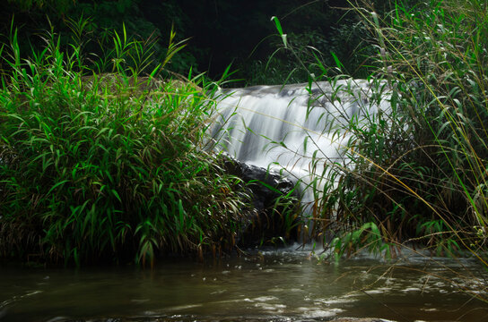 Small waterfall in the forest