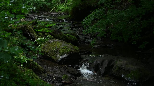 small waterfall in the ehrbachklamm gorge on the mosel in germany in the hunsr&uuml;ck mountains