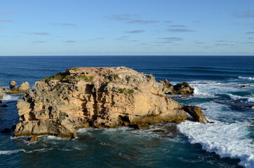 Fototapeta na wymiar Camel Rock at Port McDonnell in South Australia