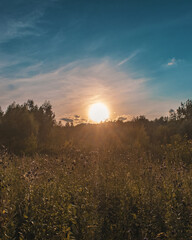 Fototapeta premium sunset over the field