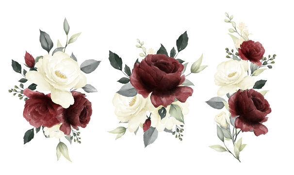 Bouquet of rose watercolor painting white red and white flower wedding vector	
