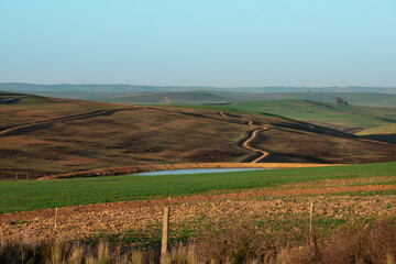 Hills on farmland with winding dirt road