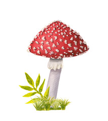 A watercolor redcap fly agaric on green grass. Hand-drawn poisonous mushroom with dots on red cap and ring on grey stipe isolated on white. Dangerous amanita muscaria grows in woods and forests. 
