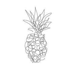 hand drawn fruit continuous line