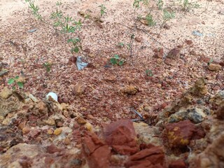 Rocks that were bitten by water