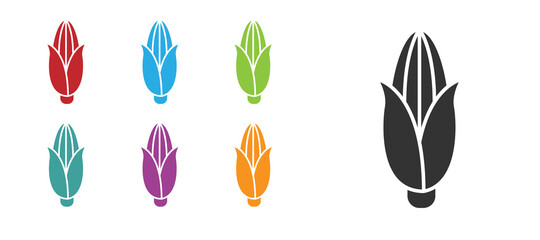 Fototapeta premium Black Corn icon isolated on white background. Set icons colorful. Vector Illustration