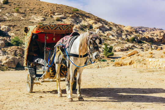 Arabian entourage touristic wagon with donkey for travelers sightseeing site in Middle East rocky nature scenic environment region