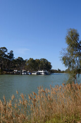 Fototapeta na wymiar A view of the Murray River at Mildura in Victoria
