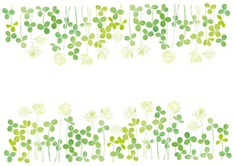 クローバー シロツメクサ 並び（水彩）