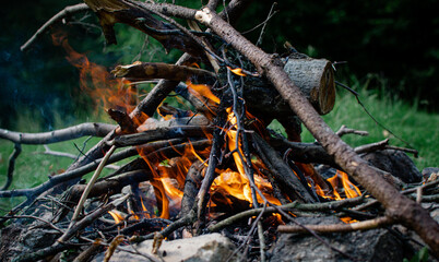 camping fire in the forest