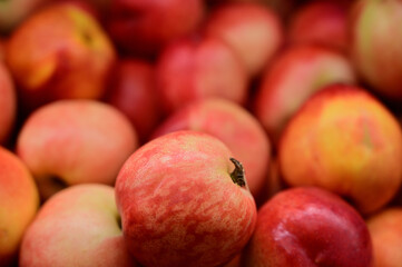 A large photo of nectarine fruits on a tray in a store, ready to sell fruit