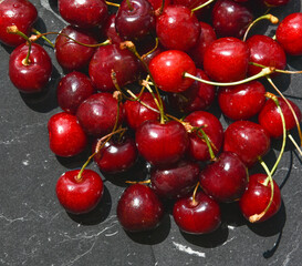 red ripe cherries with twigs