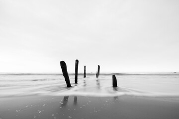 Beautiful sunrise of old jetty piles at St. Clair Beach in Dunedin, New Zealand.