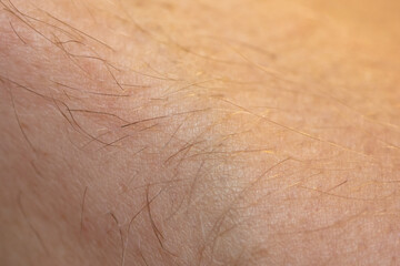 Fototapeta premium Close-up hair on human skin on a hand.