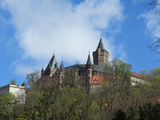 Fototapeta na wymiar Das Schloss in Wernigerde