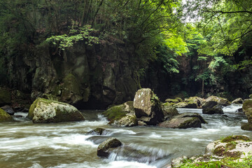Naklejka na ściany i meble 黄牛の滝（渓谷）　大分県竹田市　Ameushi waterfall (valley) Ooita-ken Takeda city