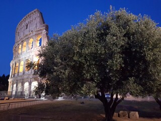 Roma Colosseo