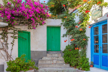 Fototapeta na wymiar Traditional alley in Sigri village, Lesvos island. Coloured doors and colorful plants are everywhere to be seen in Lesvos' traditional villages.