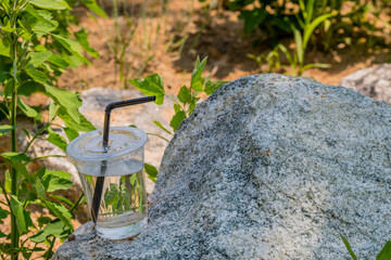 Single use plastic cup