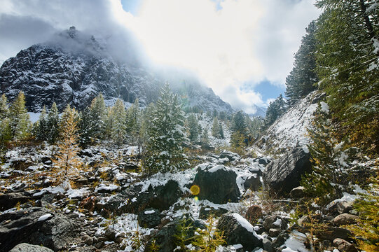 Surroundings of Mount Aktru of the North Chuysky ridge of the Altai Republic