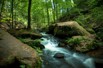 Wild and romantic Karlstal gorge in spring near Trippstadt Rhineland Palatinate, Germany	