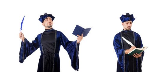 Wizard isolated on the wise background