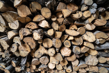 Troncos de madera para leña