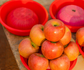 Fresh apples stacked in plastic colander