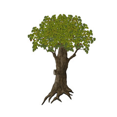 Obraz premium Cartoon tree. Illustration on a white background.