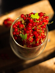Currants on a wooden surface