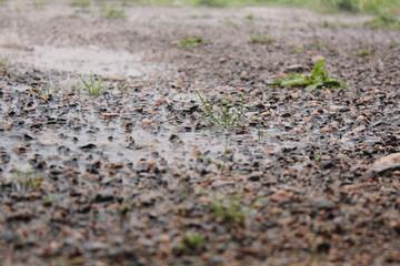 Rain splattering