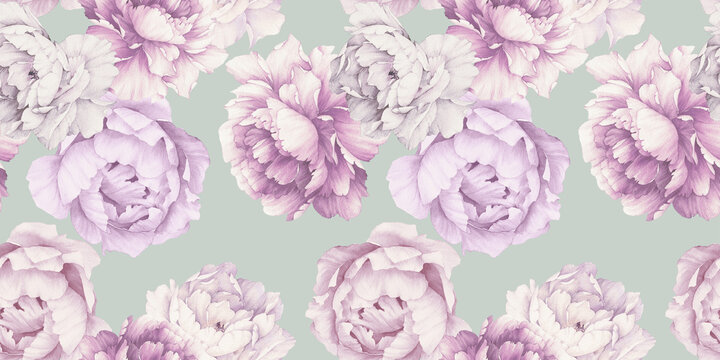 Seamless floral pattern with peony flowers on summer background, watercolor.  Botanical art