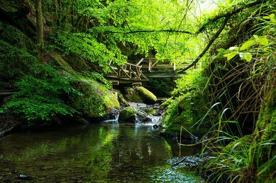 hiking in the ehrbachklamm gorge as part of the "traumschleife ehrbachklamm", hiking over wooden bridges and easy climbing routes